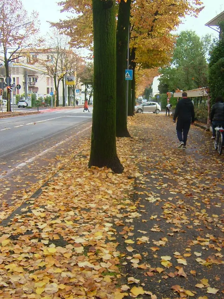 viale Montegrappa