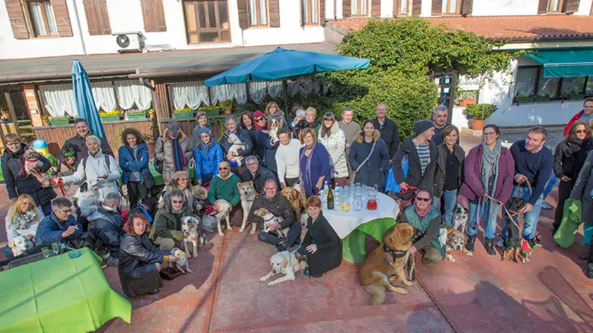 Borghesi Volpago ristorante da Sbeghen a pranzo con i cani