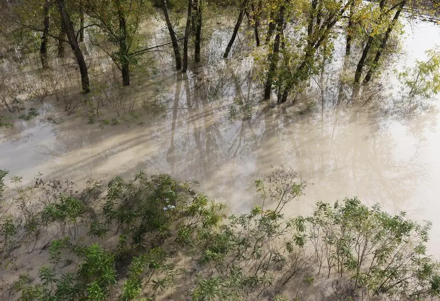 ZAGO . AG.FOTOFILM PONTE DI PIAVE MALTEMPO, IL PIAVE ALLARME LIVELLO DEL FIUME, IN FOTO SUL PONTE