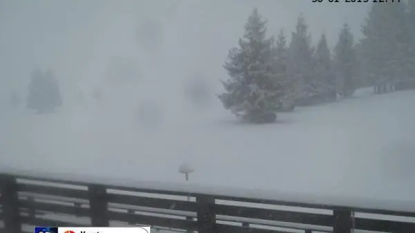 La web cam del Cansiglio
