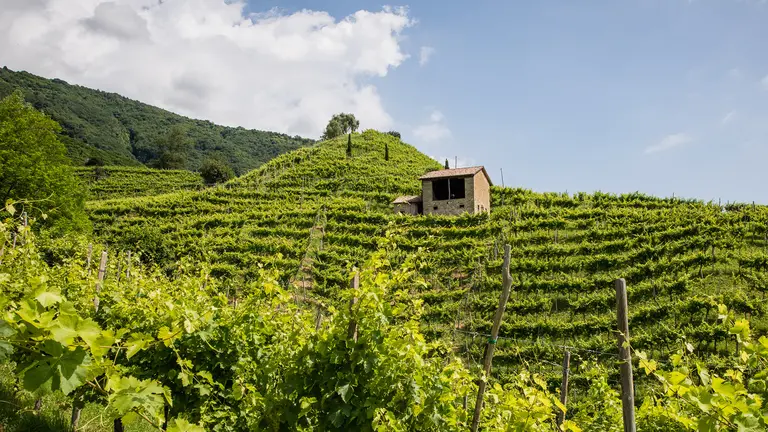Allegranzi valdobbiadene Colline del Cartizze