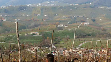 De Polo Saccol colline del Prosecco in concorso per patrimonio dell'Unesco
