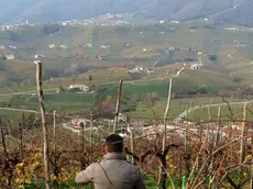 De Polo Saccol colline del Prosecco in concorso per patrimonio dell'Unesco