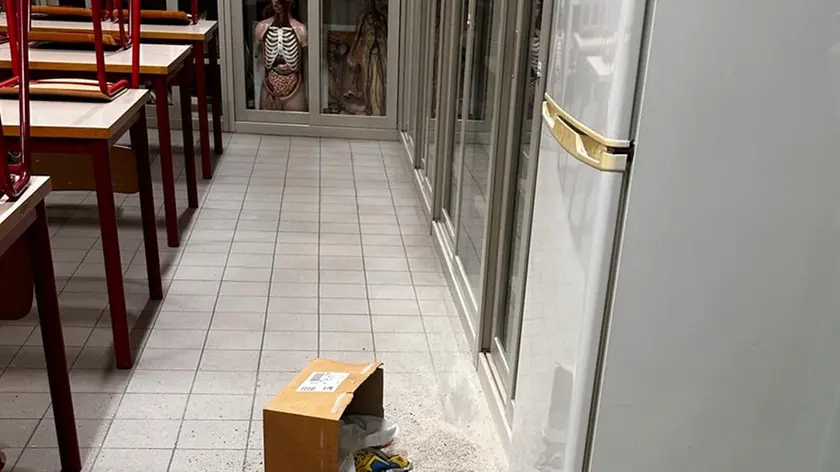 Il laboratorio di biologia vandalizzato