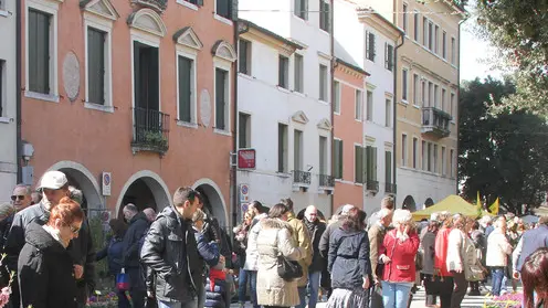 Agostini treviso borgo cavour in fiore