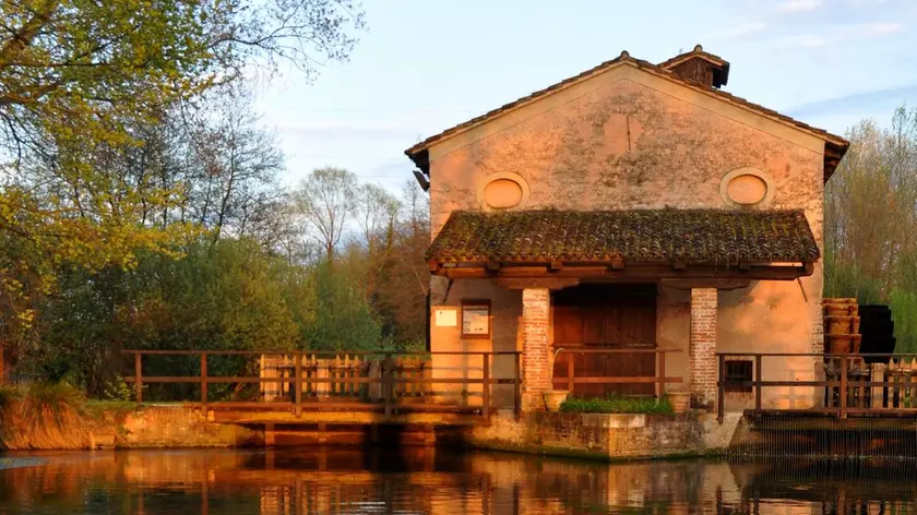 Uno scorcio dell'Oasi Cervara a Quinto