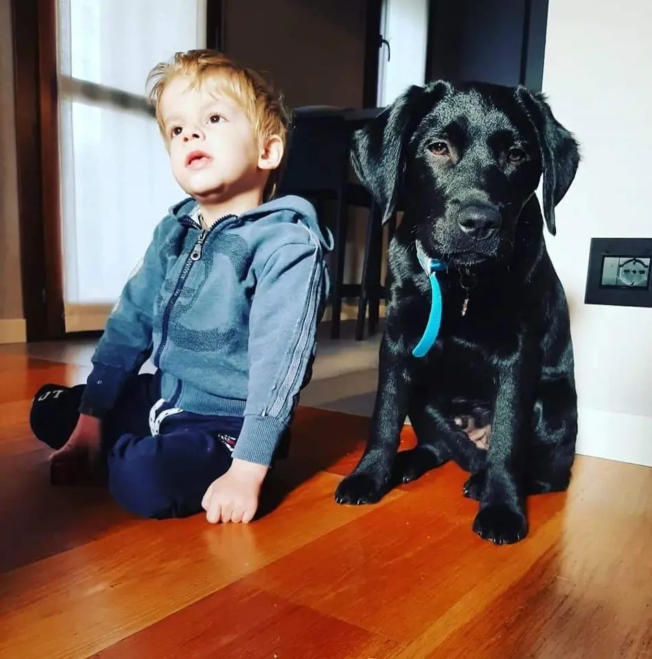 Cesare con il suo cane Joy