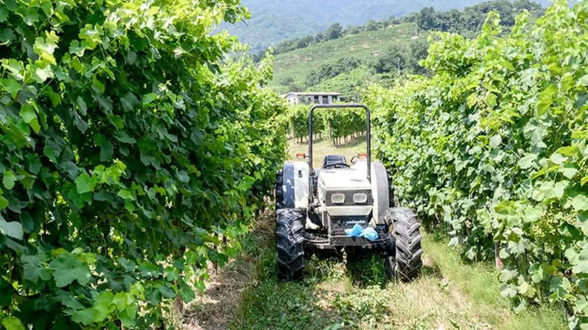 Allegranzi Campea di Miane incidente in via Cavallotto, foto generica