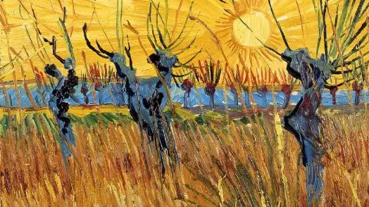 Vincent van Gogh, Salici potati al tramonto, 1888
