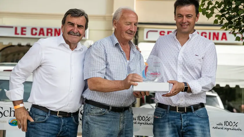 Allegranzi Vittorio Veneto Fiera dei Osei Goloni