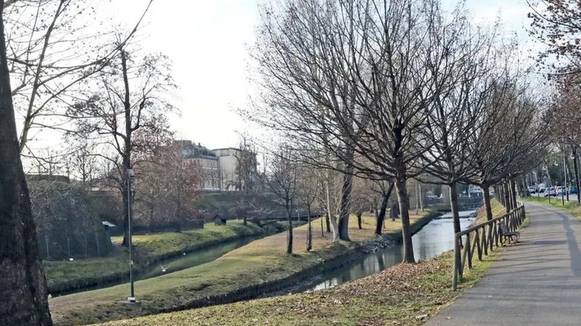 DE WOLASCKI AG.FOTOFILM TREVISO ALBERI SULLE MURA