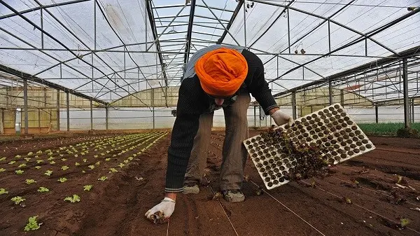 Coop si appropria di un contributo Ue di 112 mila euro destinato a 150 agricoltori