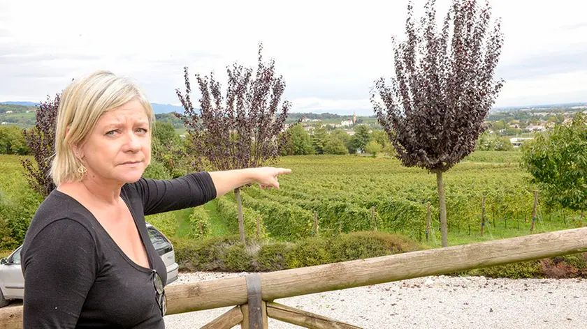 Allegranzi Nervesa cacciatore impallina passante, agriturismo Prime Gemme, la titolare Viviana Furlan indica i campi