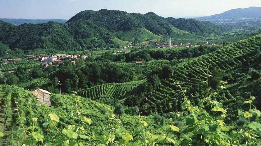 Le colline del Prosecco