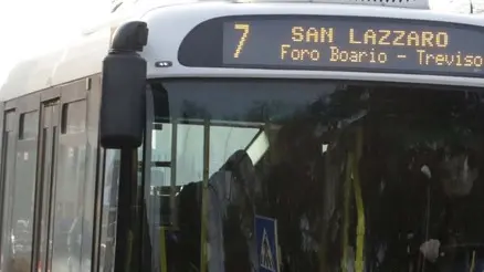 zago agenzia foto film treviso bus e corriere mom in città