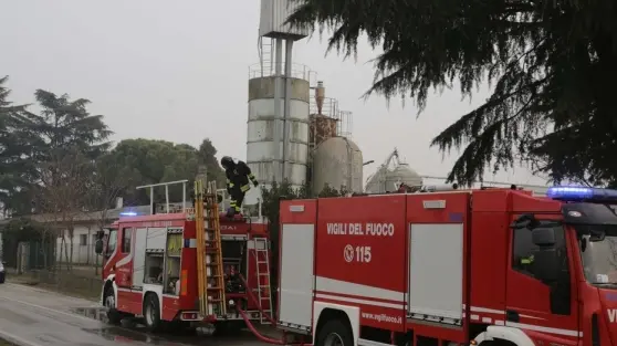 Immagine di repertorio