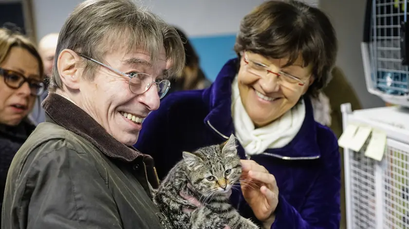 Agostini Conegliano Gattile