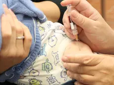ZAGO AG.FOTOFILM SAN BIAGIO DI CALLALTA VACCINI, SEDE ULSS2 DISTRETTO TV. SUD