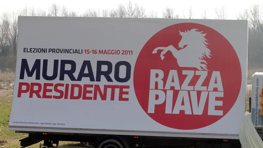 Razza Piave, dal successo al disastro