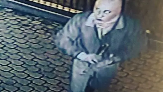Il ladro inquadrato dai video