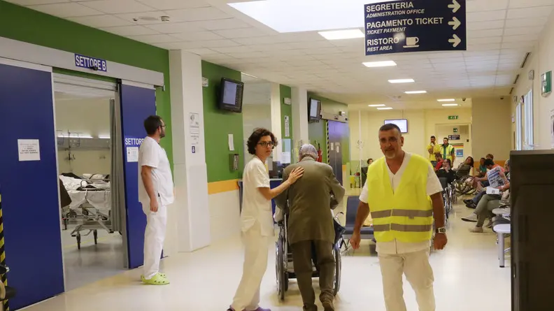 Agostini Treviso conferenza stampa ulss 9 servizio pronto soccorso