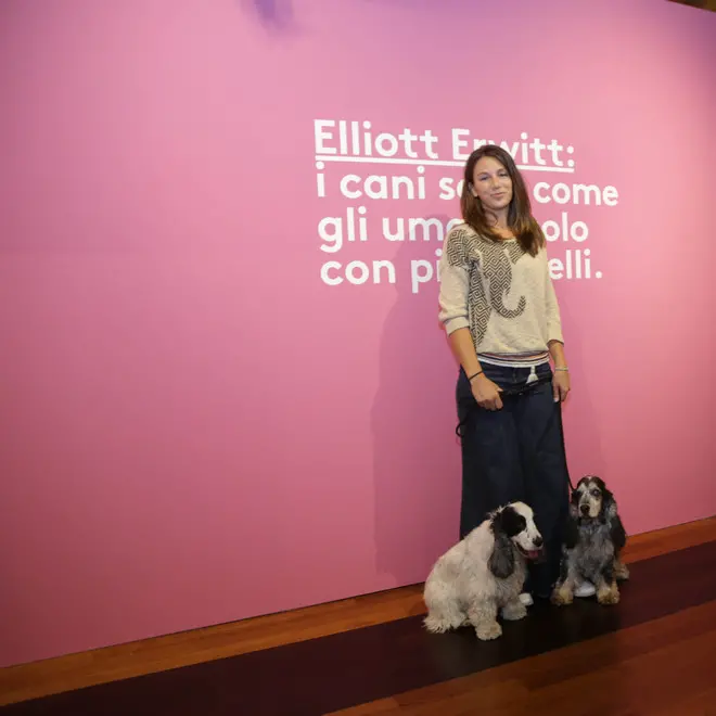 borghesi agenzia fotofilm treviso cani mostra erwitt