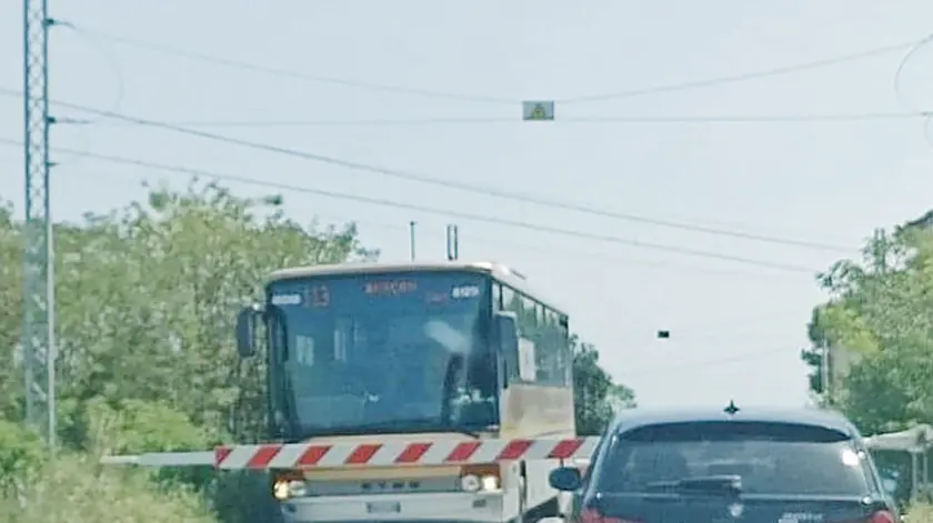 L’autobus della Mom rimasto bloccato tra le due sbarre a Castagnole di Paese mentre transitava il treno