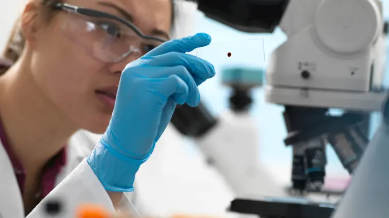 Scientist viewing human sample on glass slide before placing under microscope in laboratory