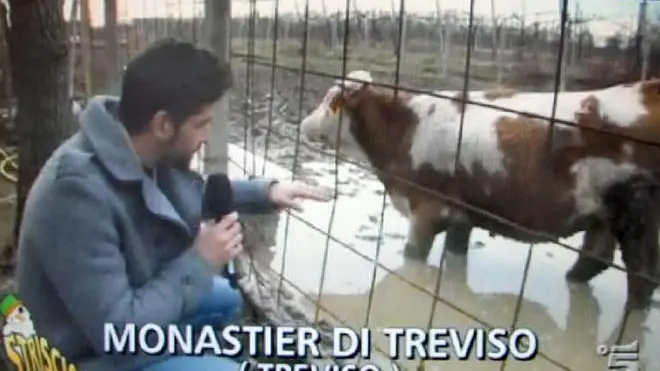 Allegranzi Monastier Striscia La Notizia per maltrattamento animali