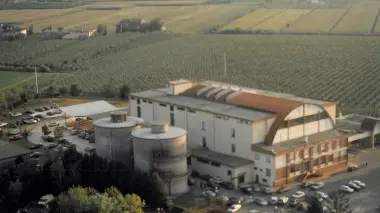 La cantina di Campodipietra