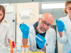 Ricercatori dell’Istituto Veneto di Medicina Molecolare (Vimm) al lavoro