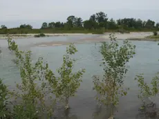 ferrazza AG.FOTOFILM cimadolmo greto del paive