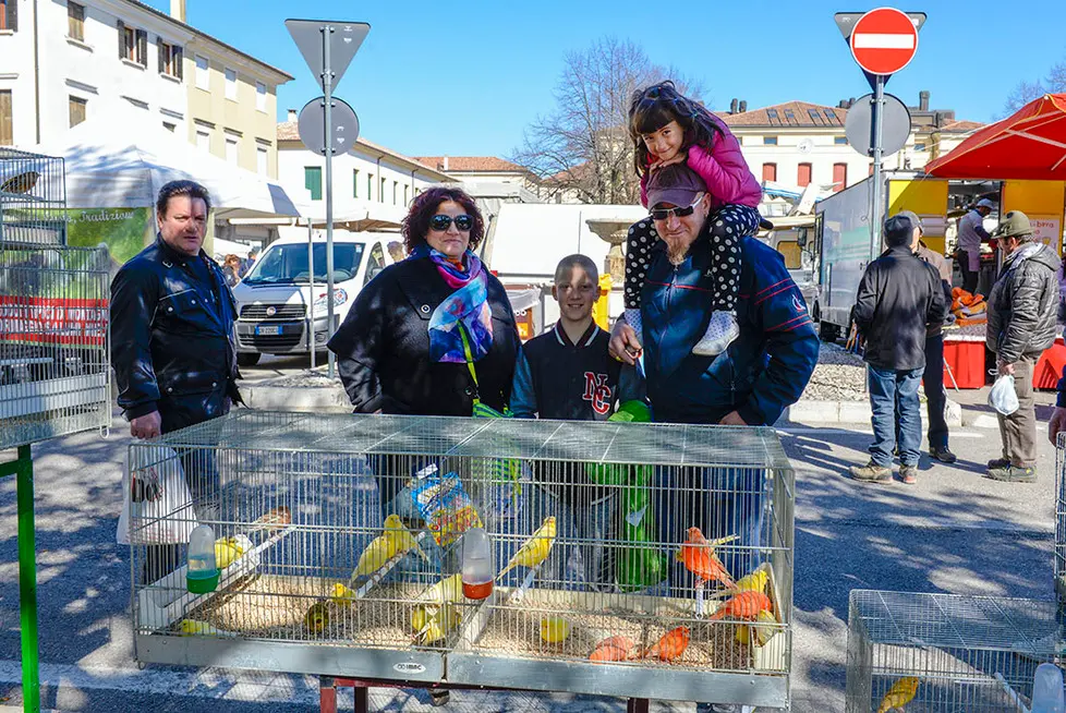DeMarchi Montebelluna fiera degli uccelli