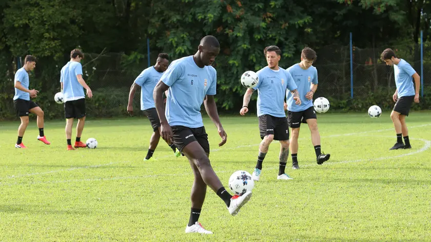 GUERRETTA . AG.FOTOFILM . QUINTO PRIMO ALLENAMENTO CALCIO TREVISO A S. CRISTINA