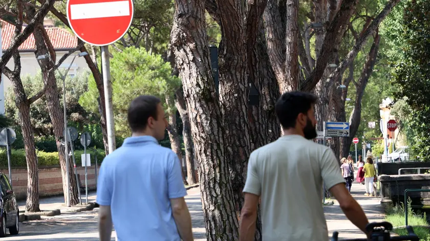 A settembre al via i lavori in viale Battisti a Treviso