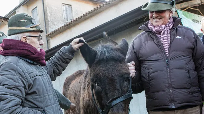 Allegranzi Anzano Il mulo alpino